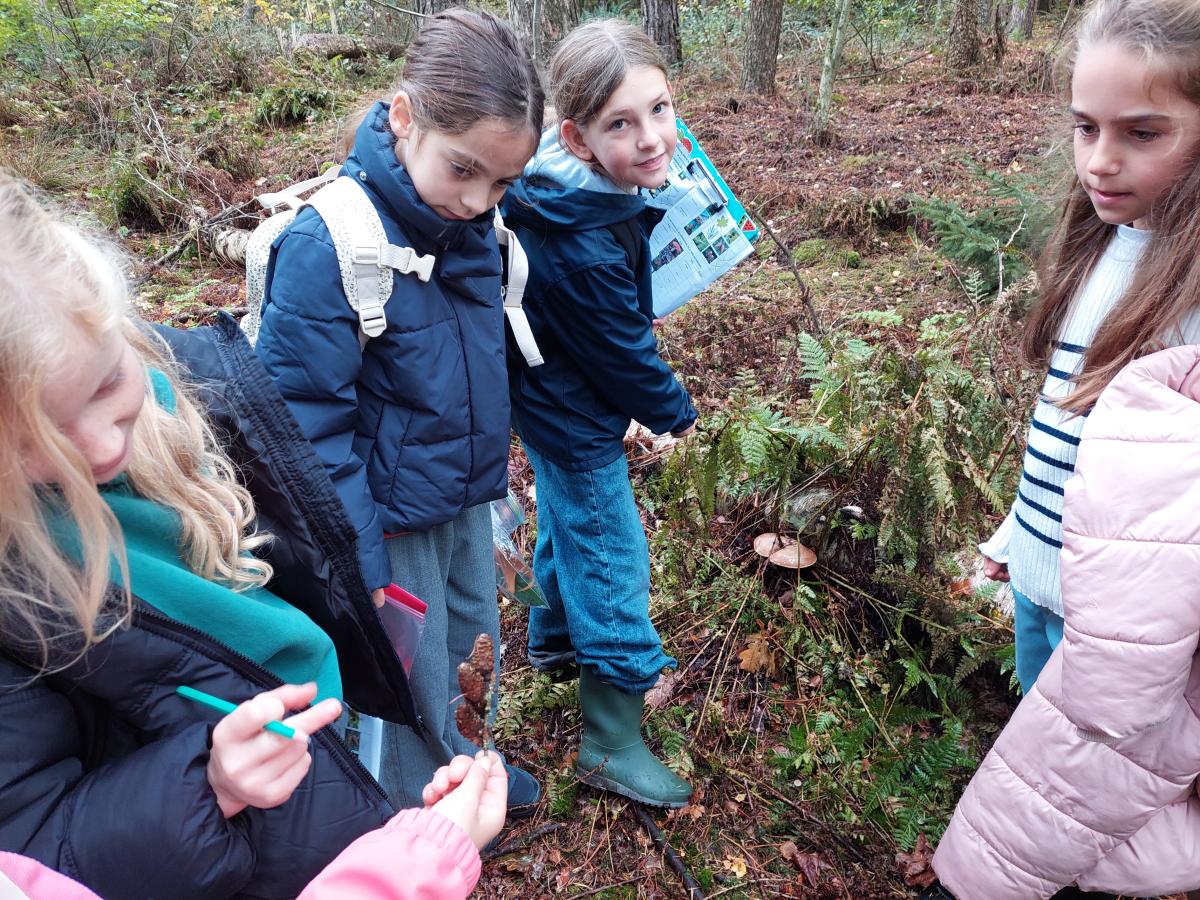 Kinderen in het bos